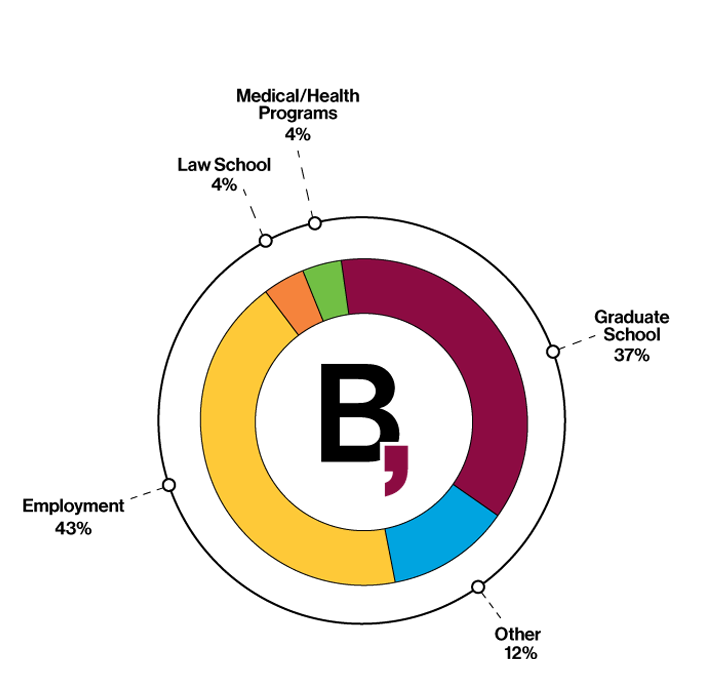 Graduate Outcomes pie chart